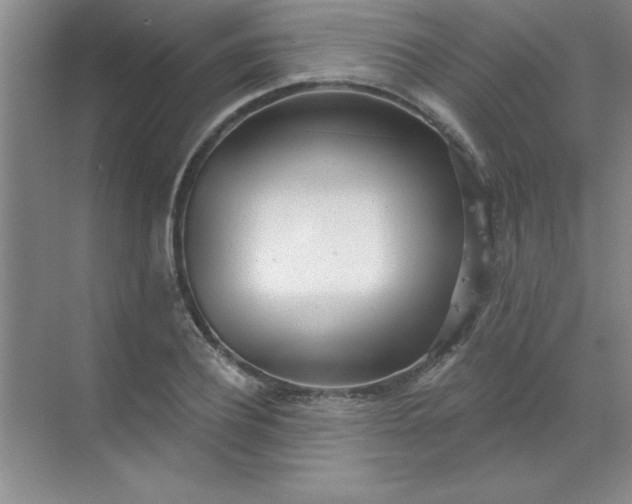 X0000071390932200607071904