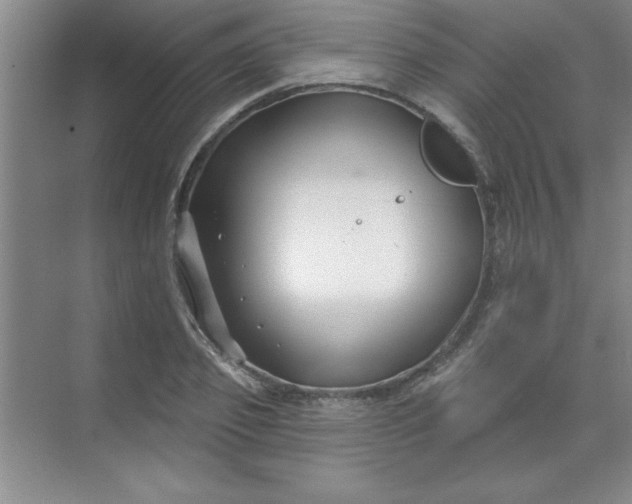 X0000071390933200607071904