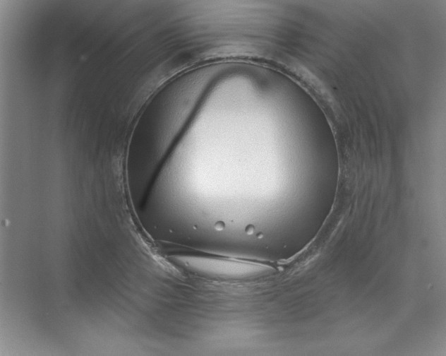 X0000071390937200607071904