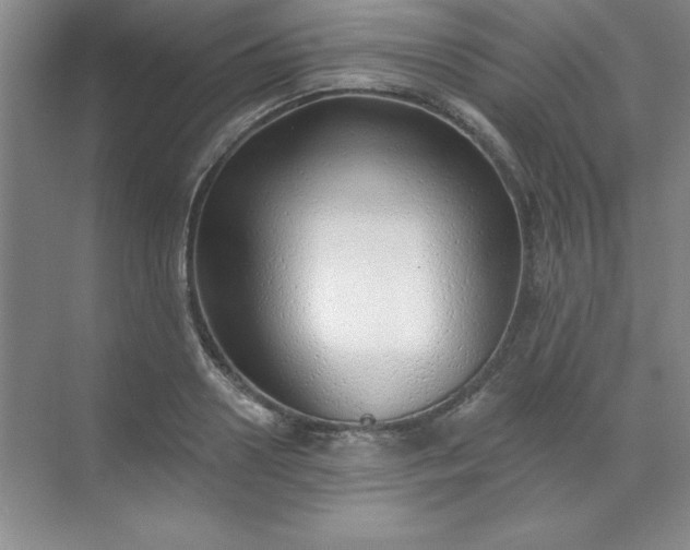 X0000071390938200607071904