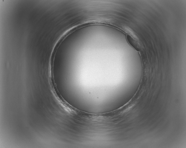 X0000071390940200607071904