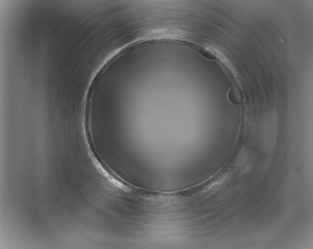 X0000071390941200607071904