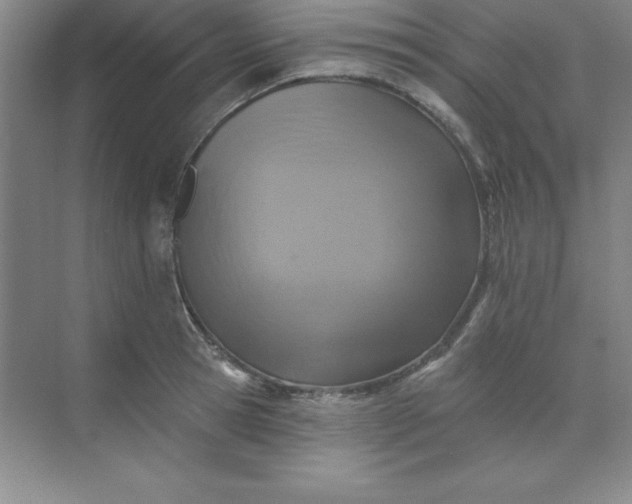 X0000071390945200607071904