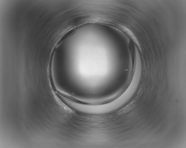 X0000071390946200607071904