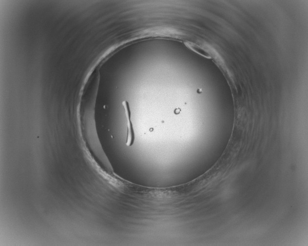 X0000071390947200607071904