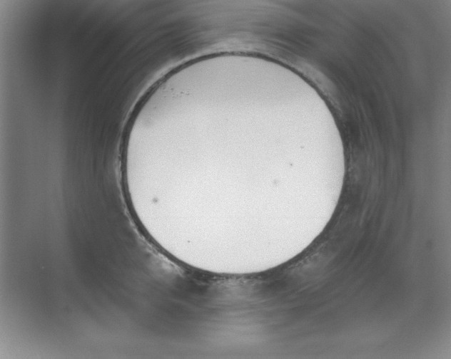 X0000071390950200607071904