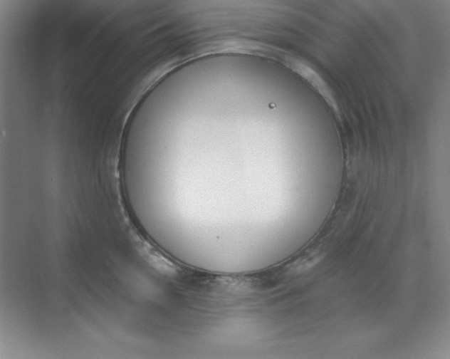 X0000071390954200607071905