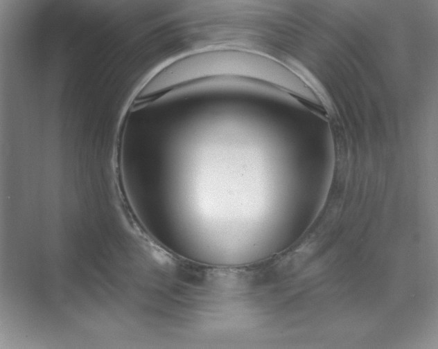 X0000071390956200607071905