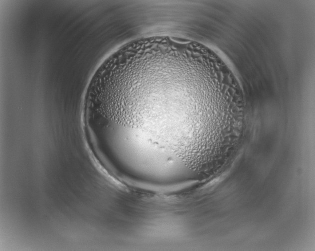 X0000071390957200607071905