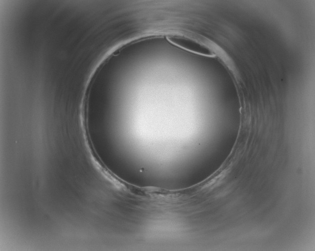 X0000071390958200607071905