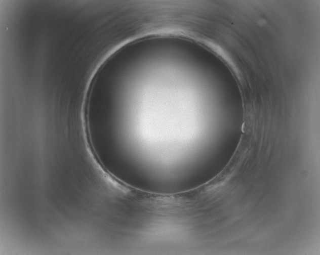 X0000071390959200607071905