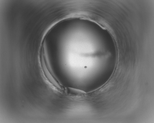 X0000071390960200607071905