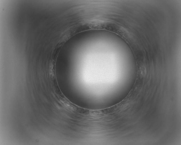 X0000071390964200607071904