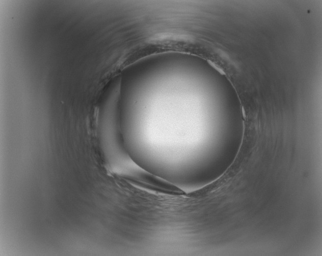 X0000071390965200607071904