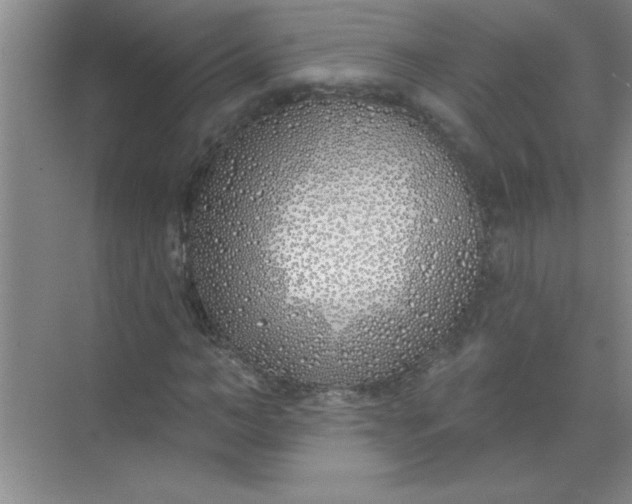 X0000071390966200607071904