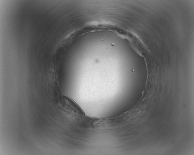 X0000071390967200607071904