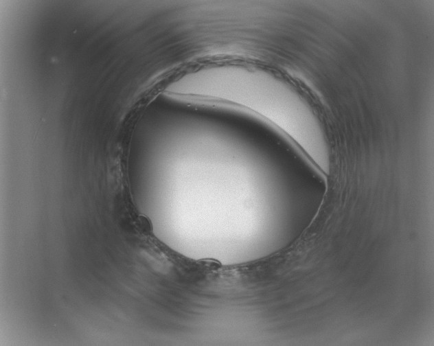 X0000071390968200607071904