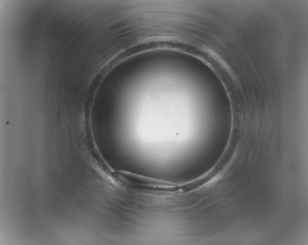 X0000071390969200607071904