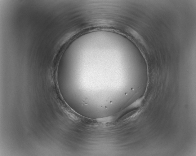 X0000071390970200607071904