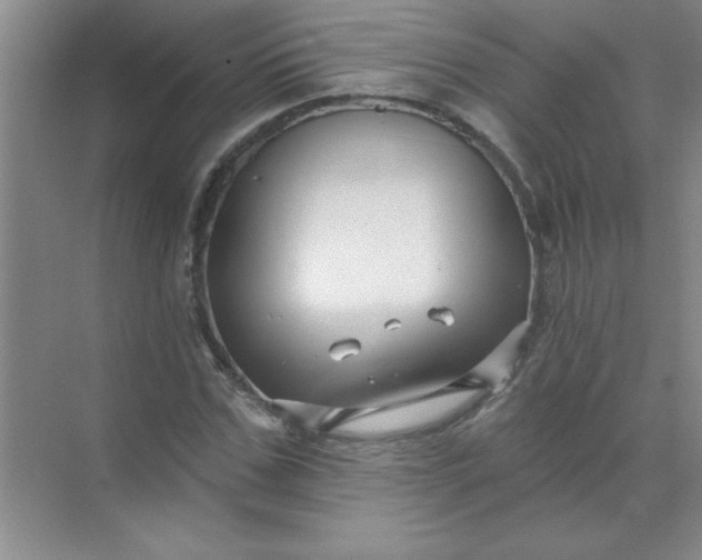 X0000071390971200607071904