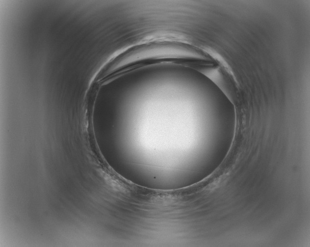 X0000071390973200607071904