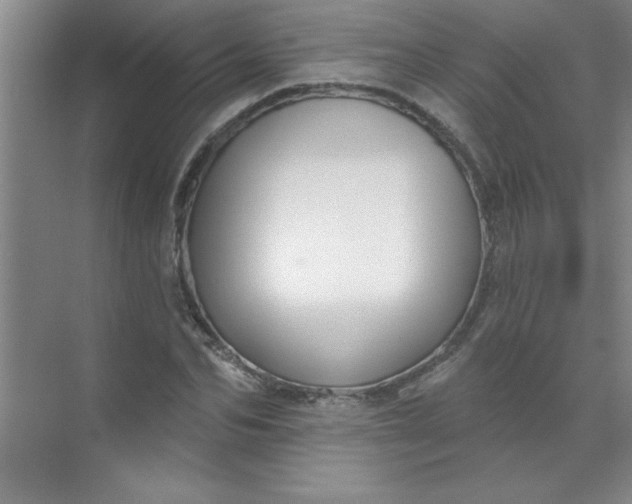 X0000071390974200607071904