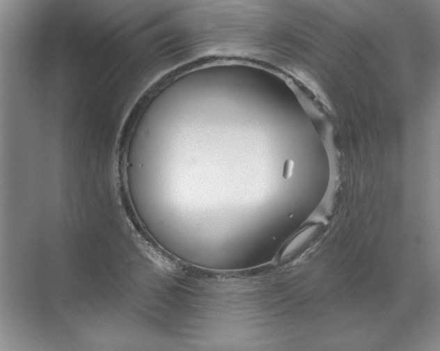 X0000071390976200607071904