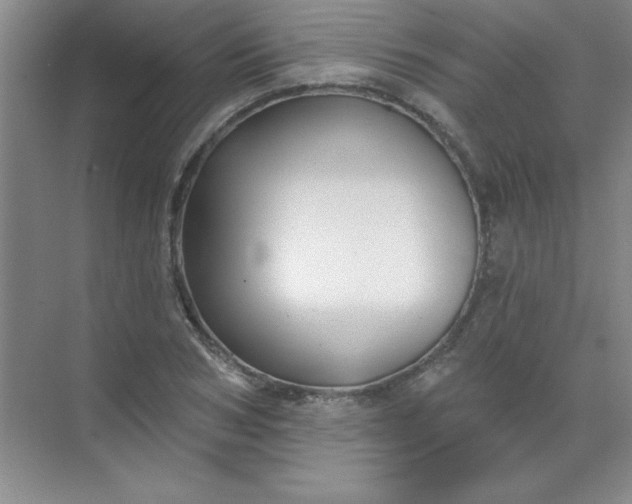 X0000071390978200607071904