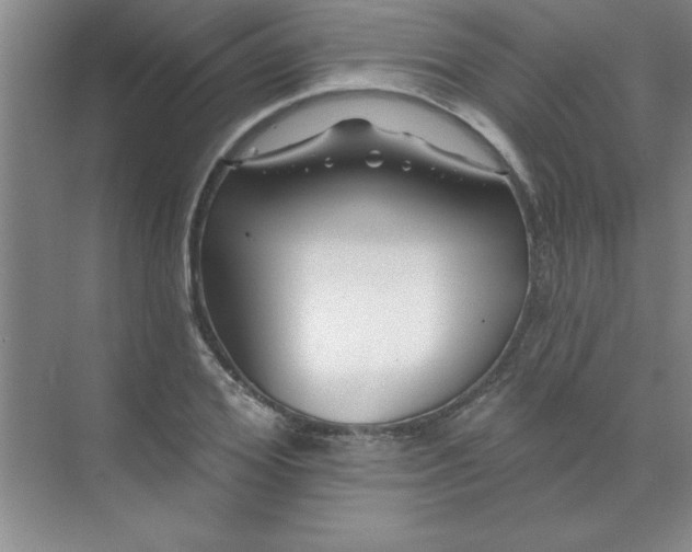 X0000071390980200607071904