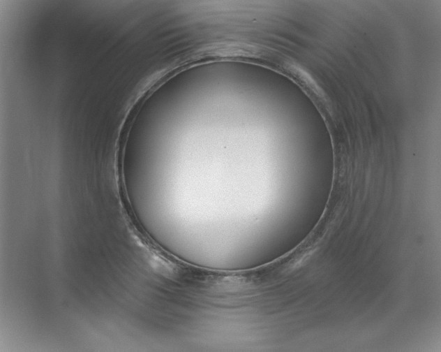 X0000071390986200607071903