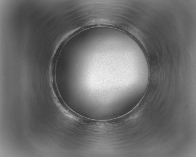 X0000071390987200607071903