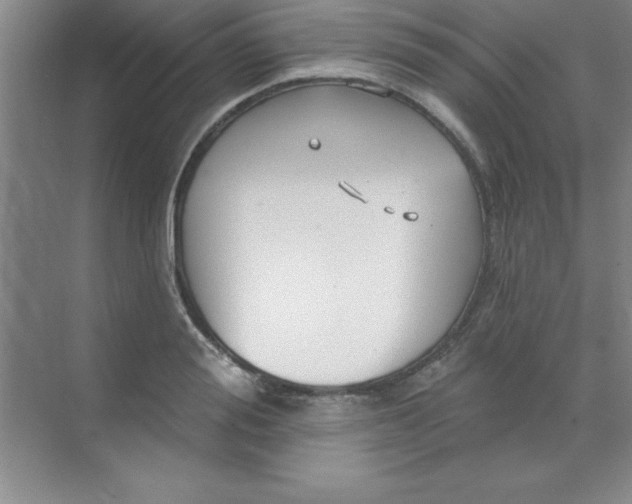 X0000071390988200607071903