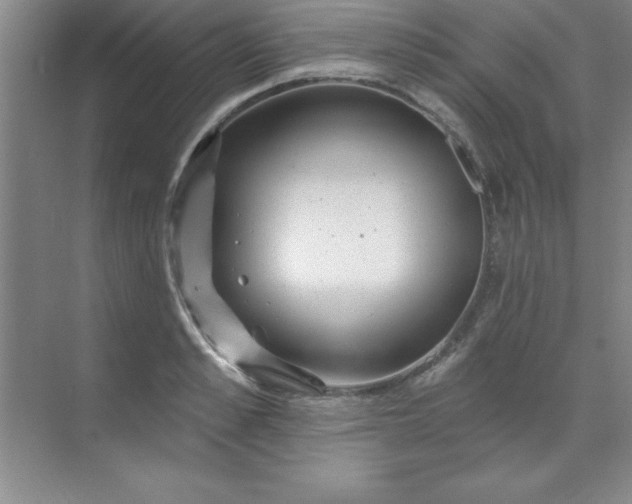 X0000071390989200607071903