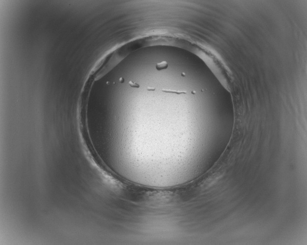 X0000071390991200607071903