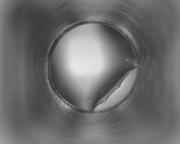 X0000071390992200607071903