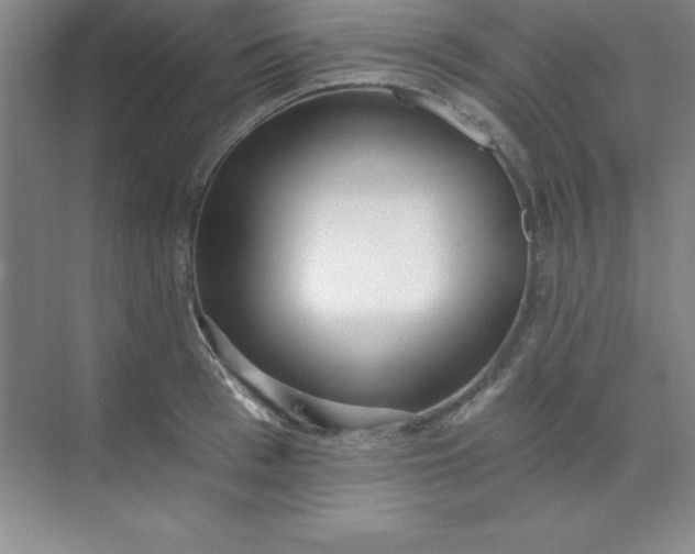 X0000071390993200607071903