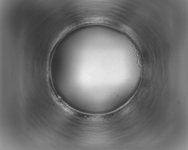 X0000071390994200607071903