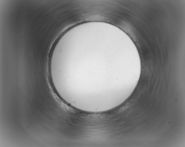 X0000071391000200607071903