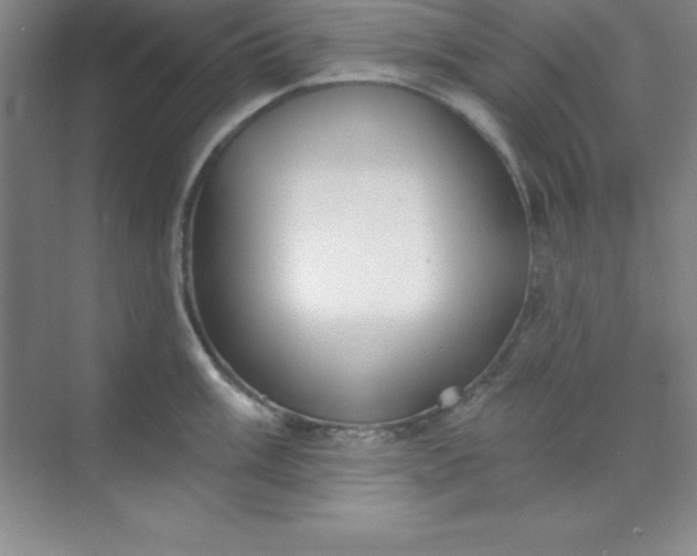 X0000071391003200607071903