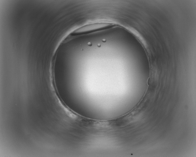 X0000071391006200607071903