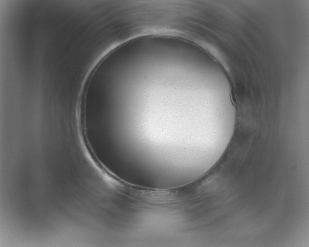 X0000071391007200607071903