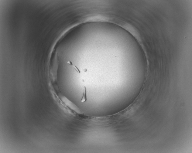 X0000071391008200607071903