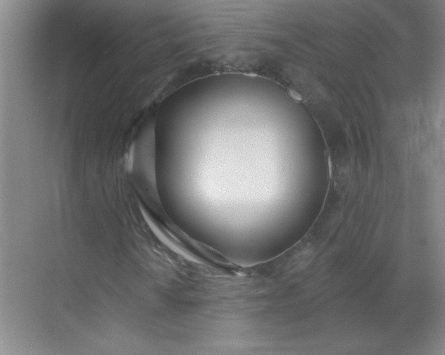 X0000071391010200607071902