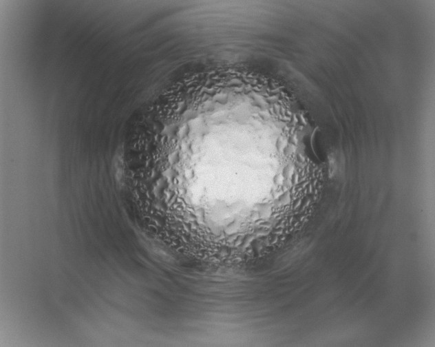 X0000071391011200607071902