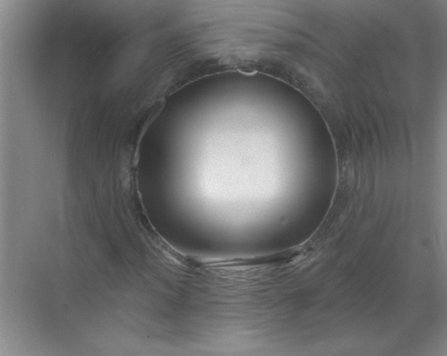 X0000071391012200607071902