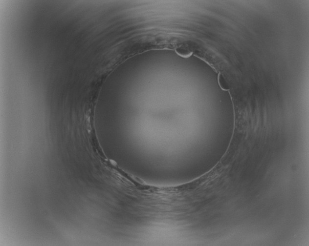 X0000071391013200607071902