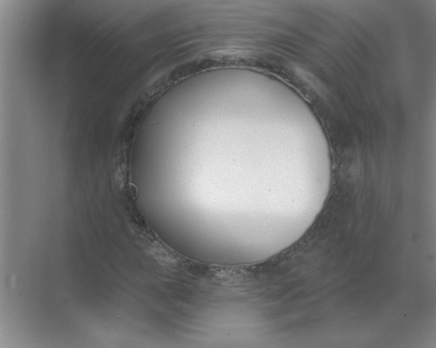 X0000071391015200607071902