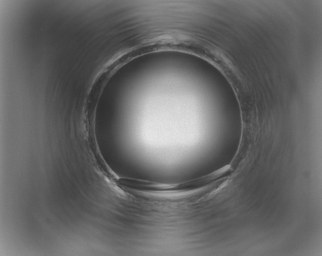 X0000071391018200607071902