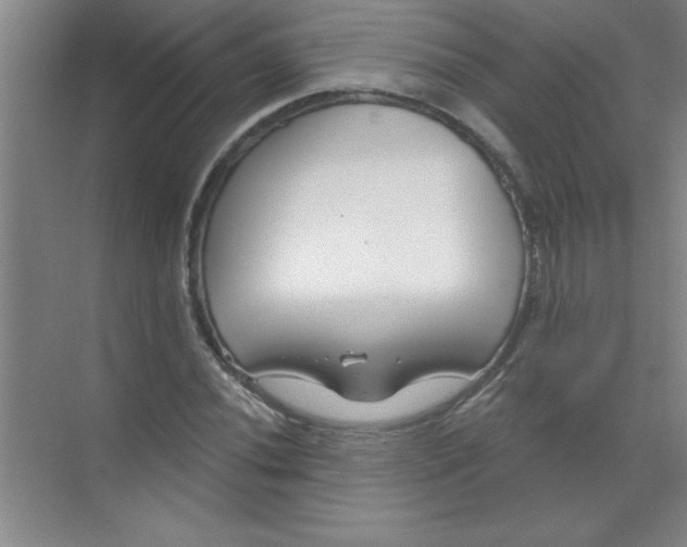 X0000071391020200607071902