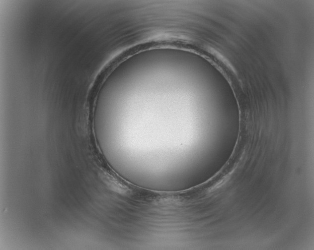 X0000071391021200607071902